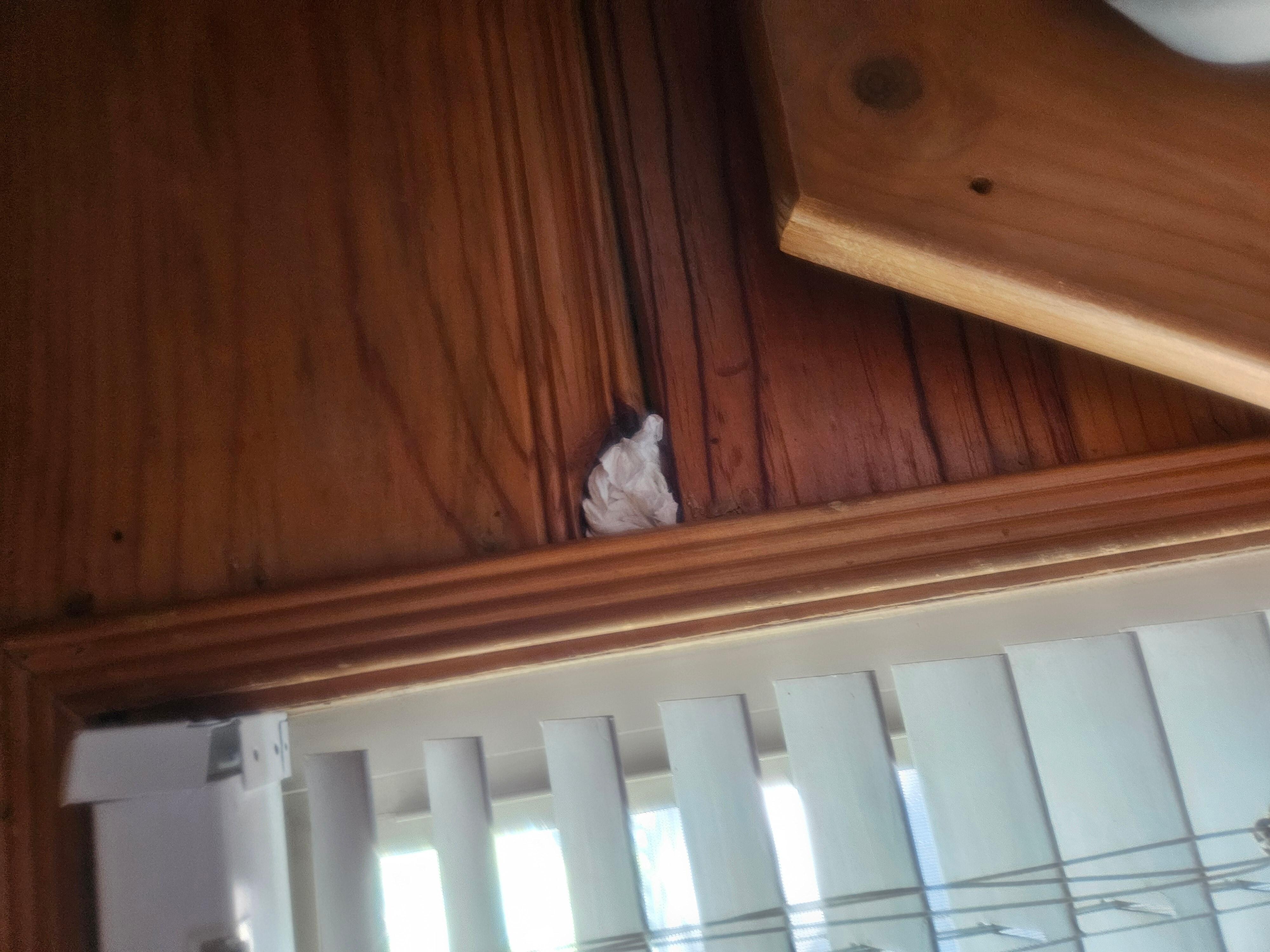 Tissues in cracks of wall