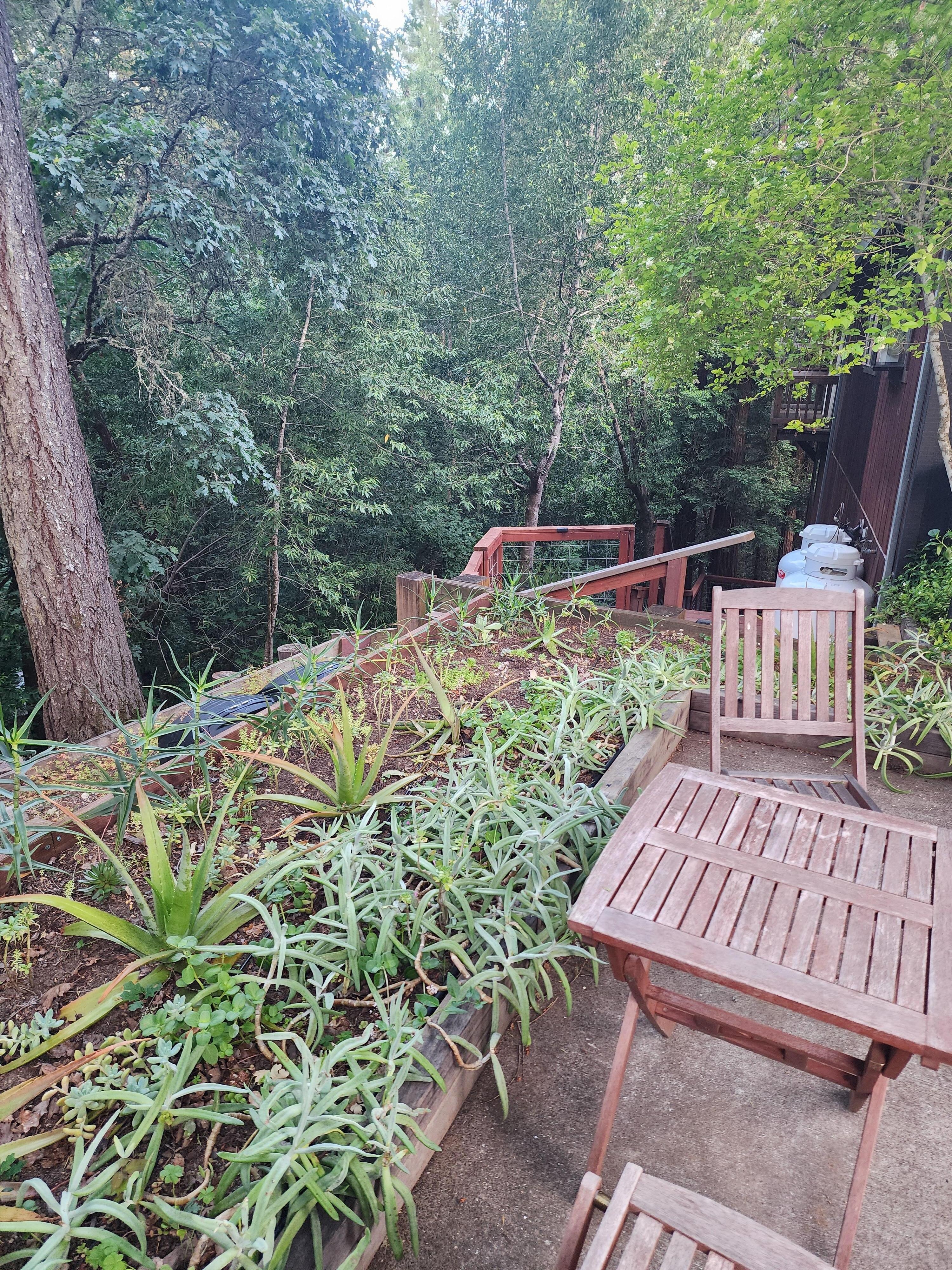 Side deck by the shed