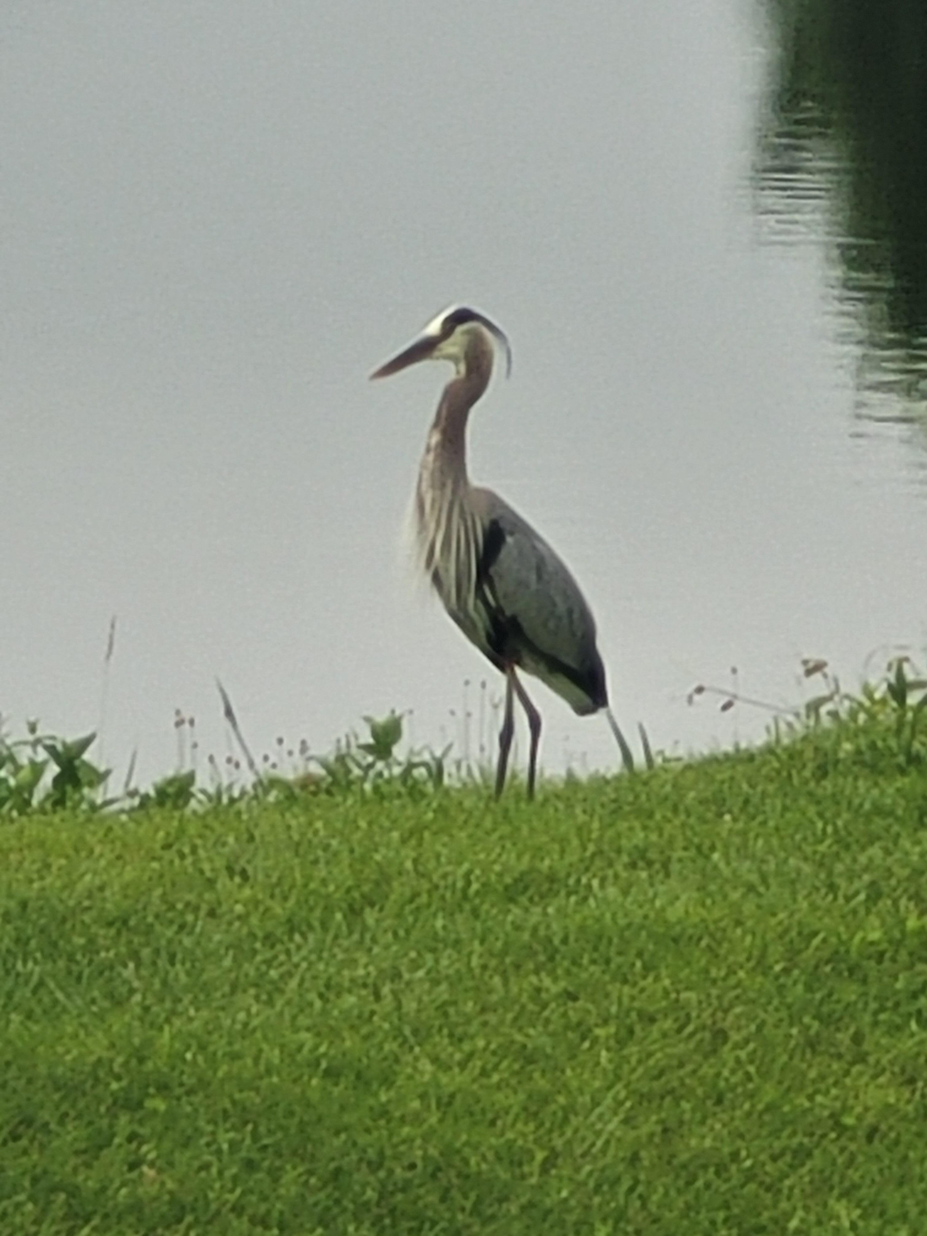 Right in the backyard.