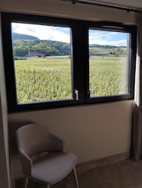 Vue sur les vignes