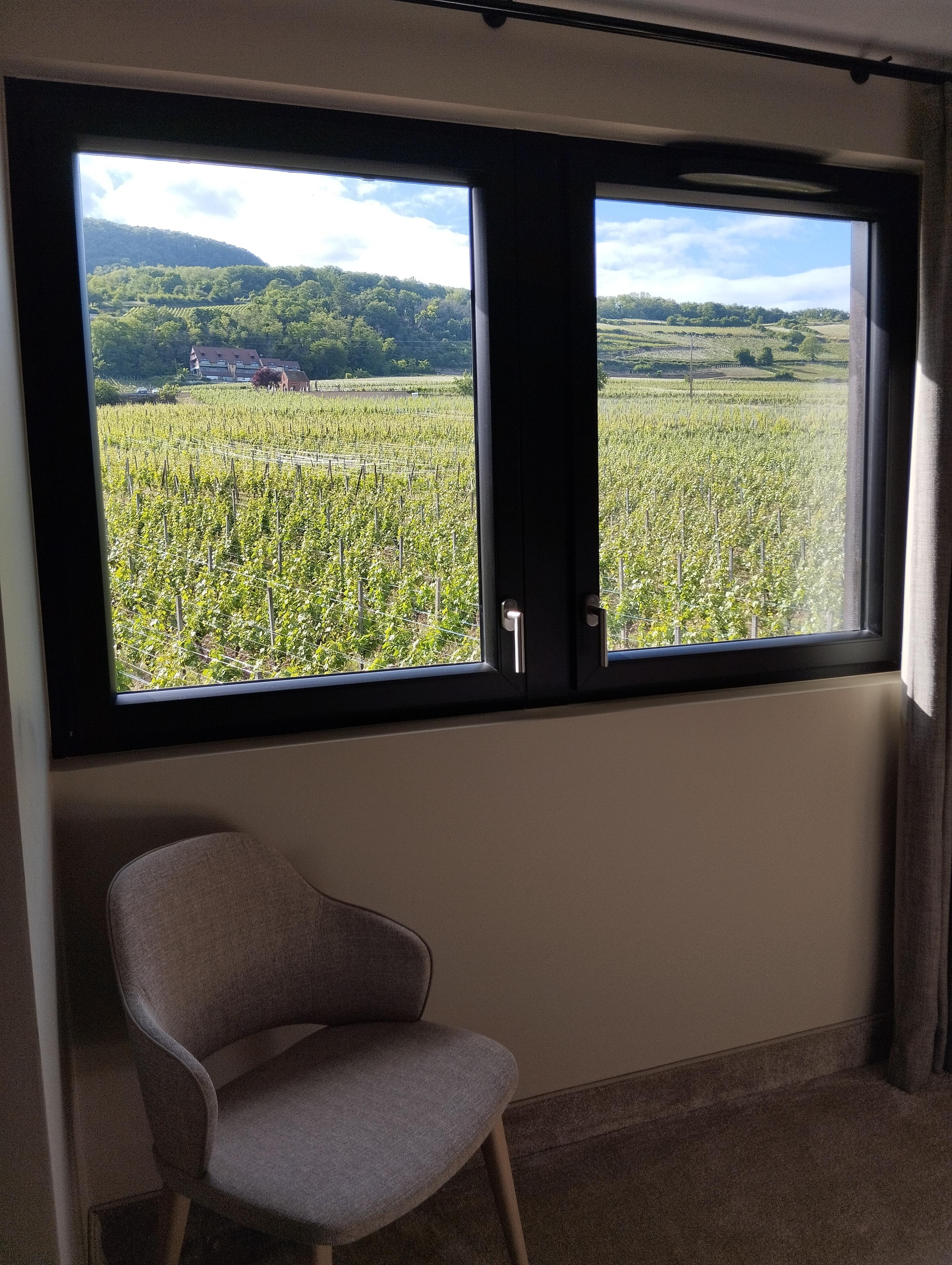 Vue sur les vignes