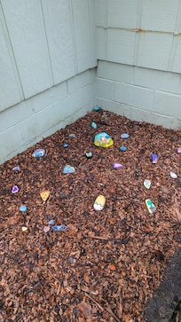 Painted rock garden
