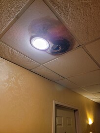Mold and active leak on ceiling in the hallway. Floor was wet