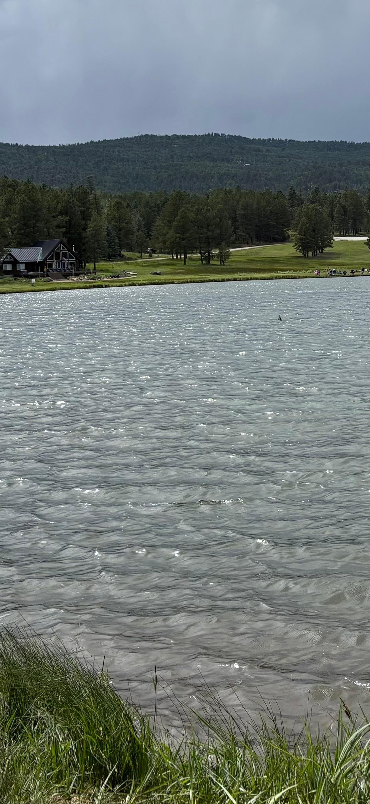 Monte Verde Lake
Spring feed lake