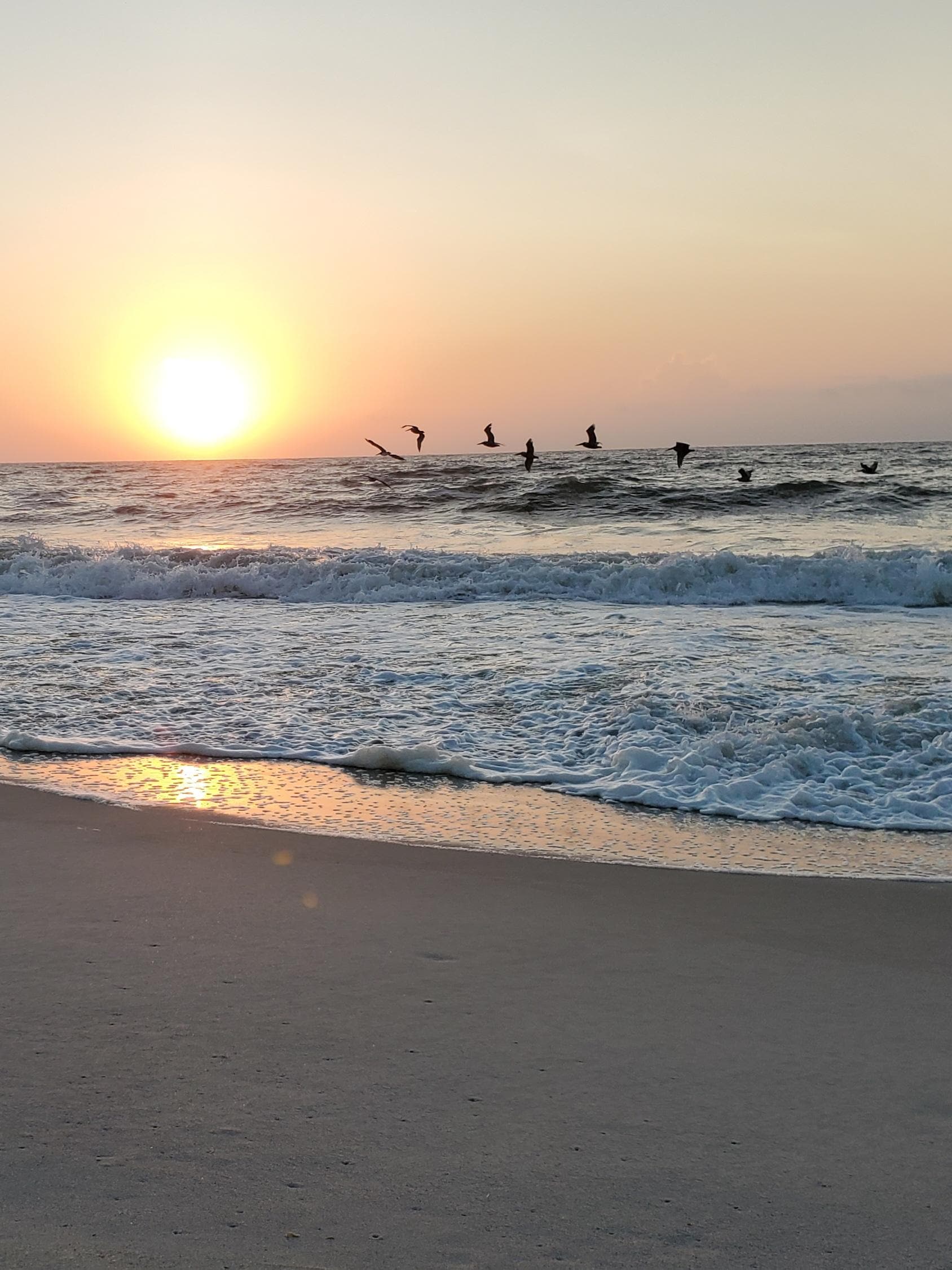 Sunrise & pelicans 🥰