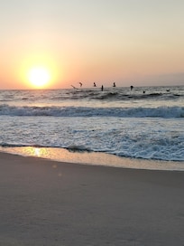 Sunrise & pelicans 🥰
