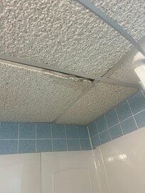Bathroom ceiling