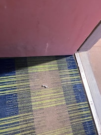 I opened the door to the room and the security lock piece was on the floor. I felt safe without it but it was broken.