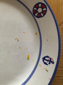 schmutziges Geschirr in den Schränken