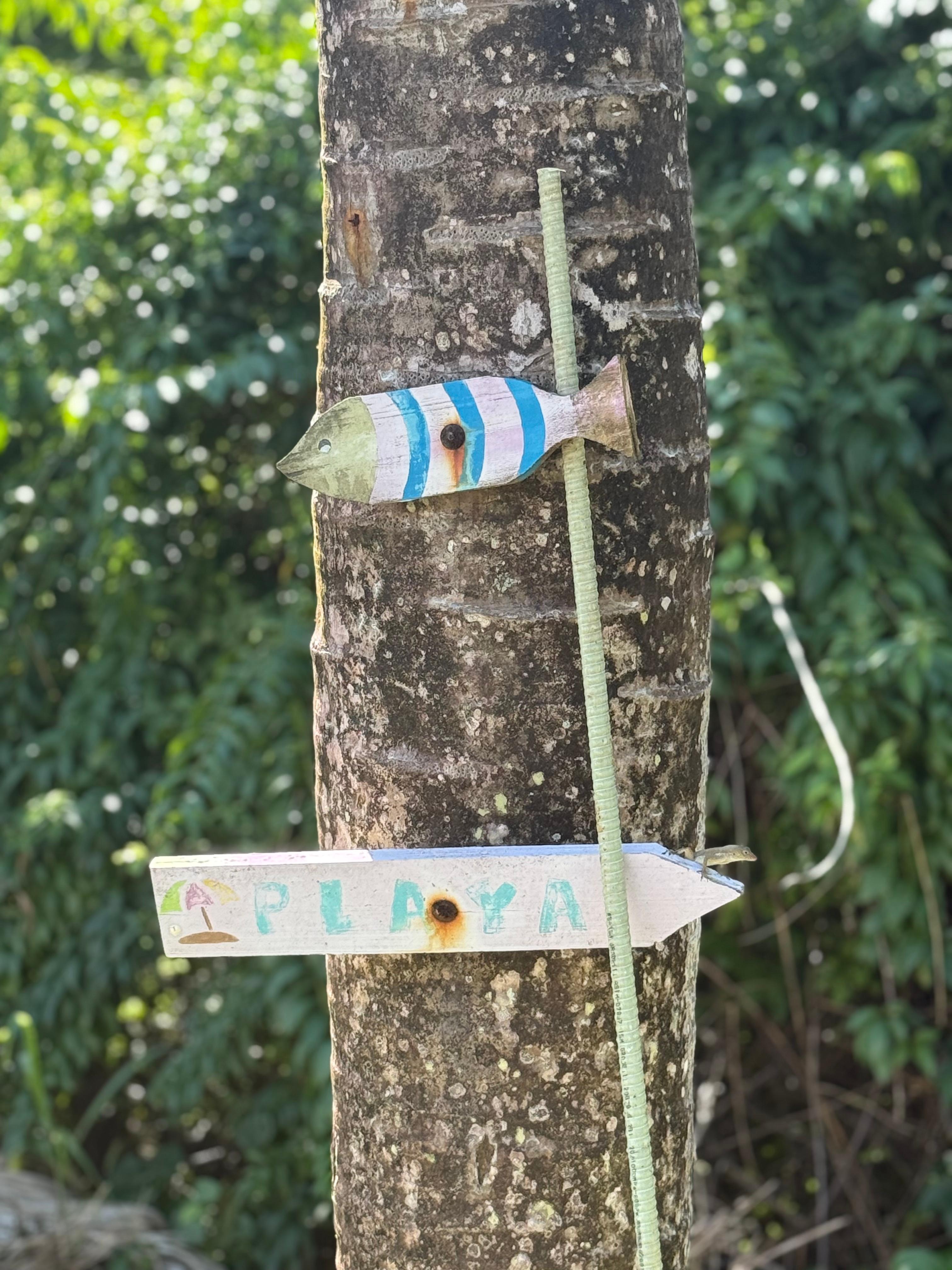 Little lizard on the sign pointing to the beach-fun!