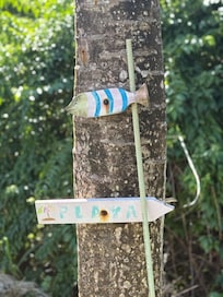 Little lizard on the sign pointing to the beach-fun!
