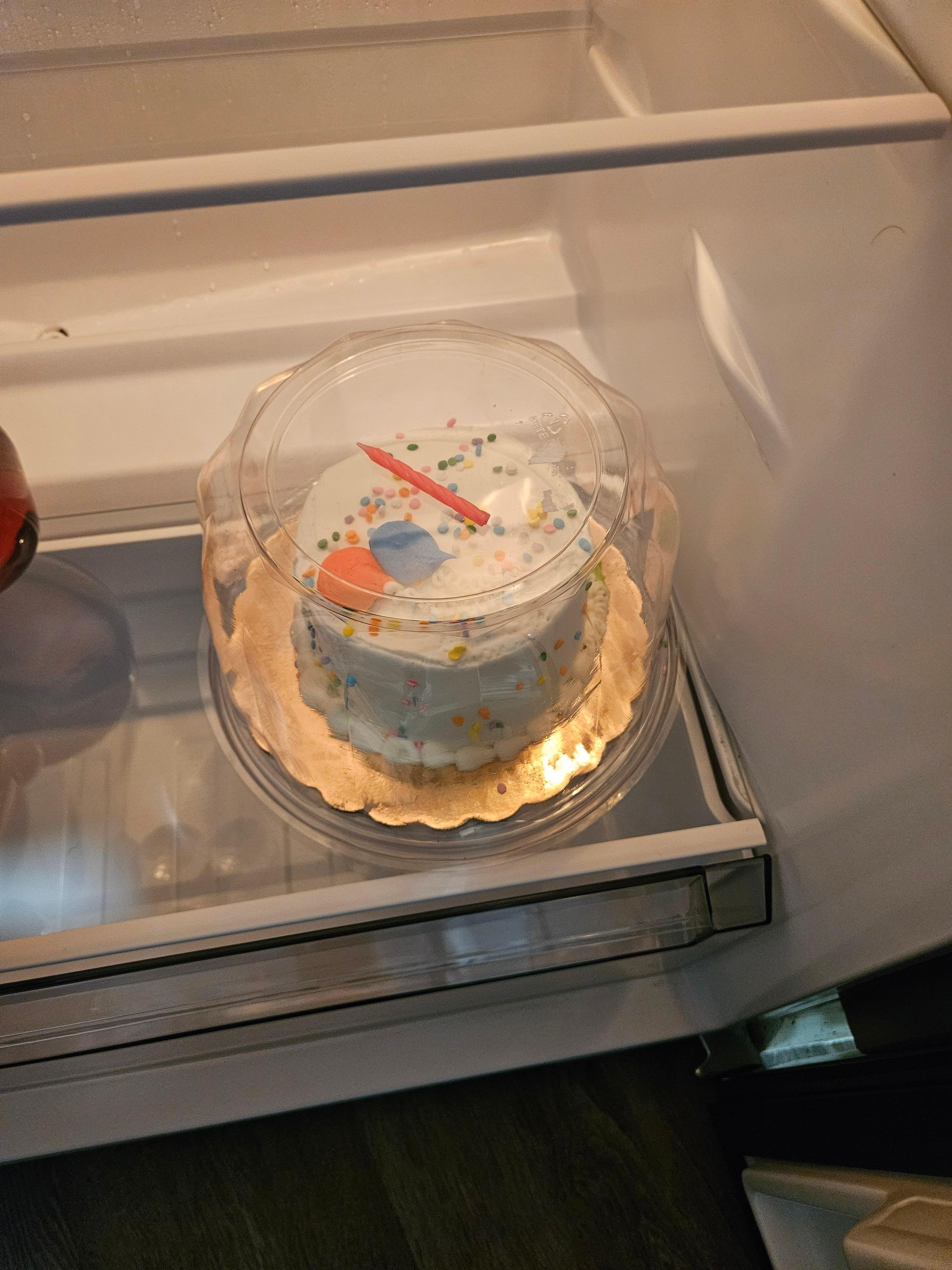 Surprise Birthday Cake!