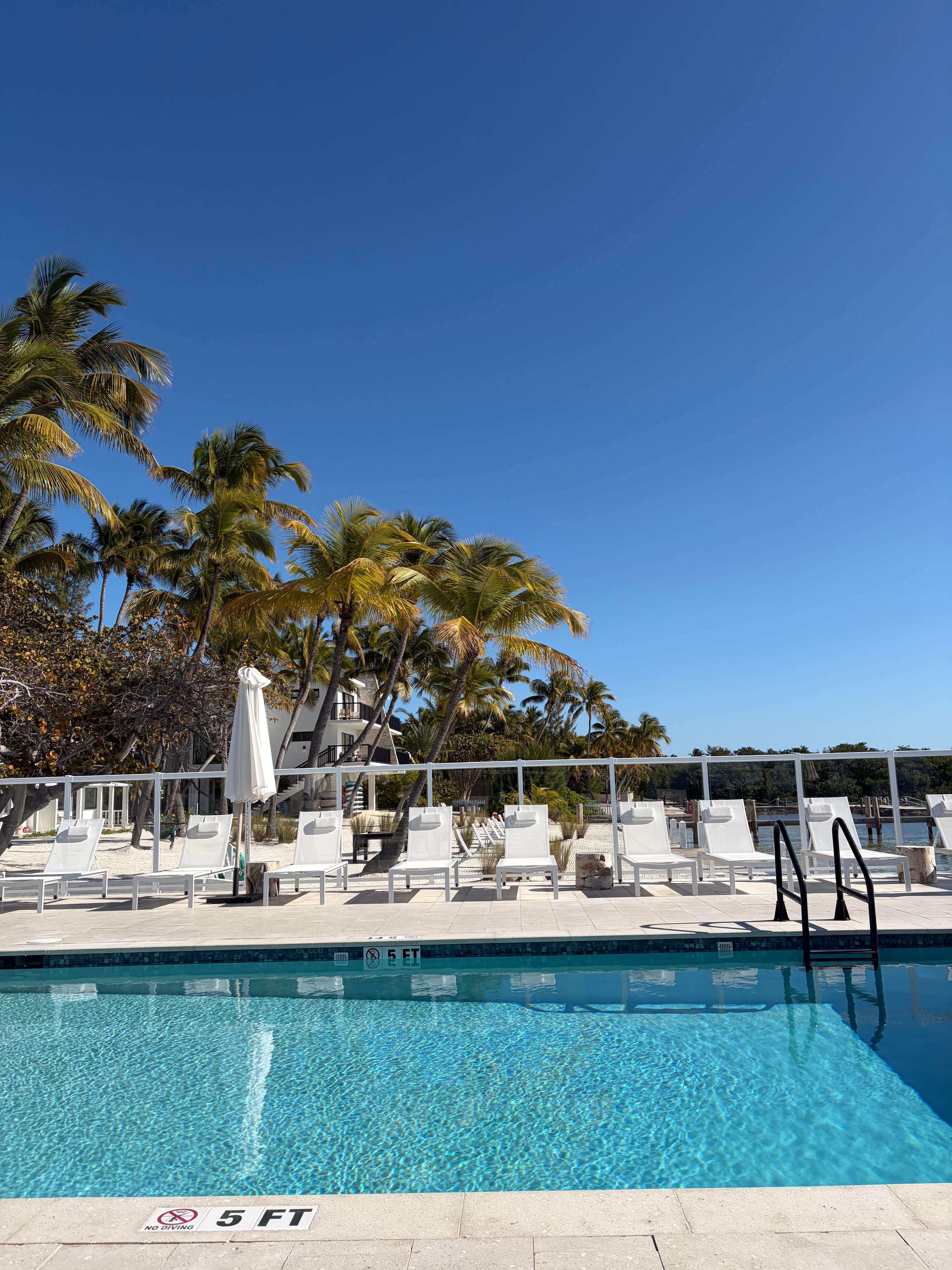 Beautiful saltwater heated pool