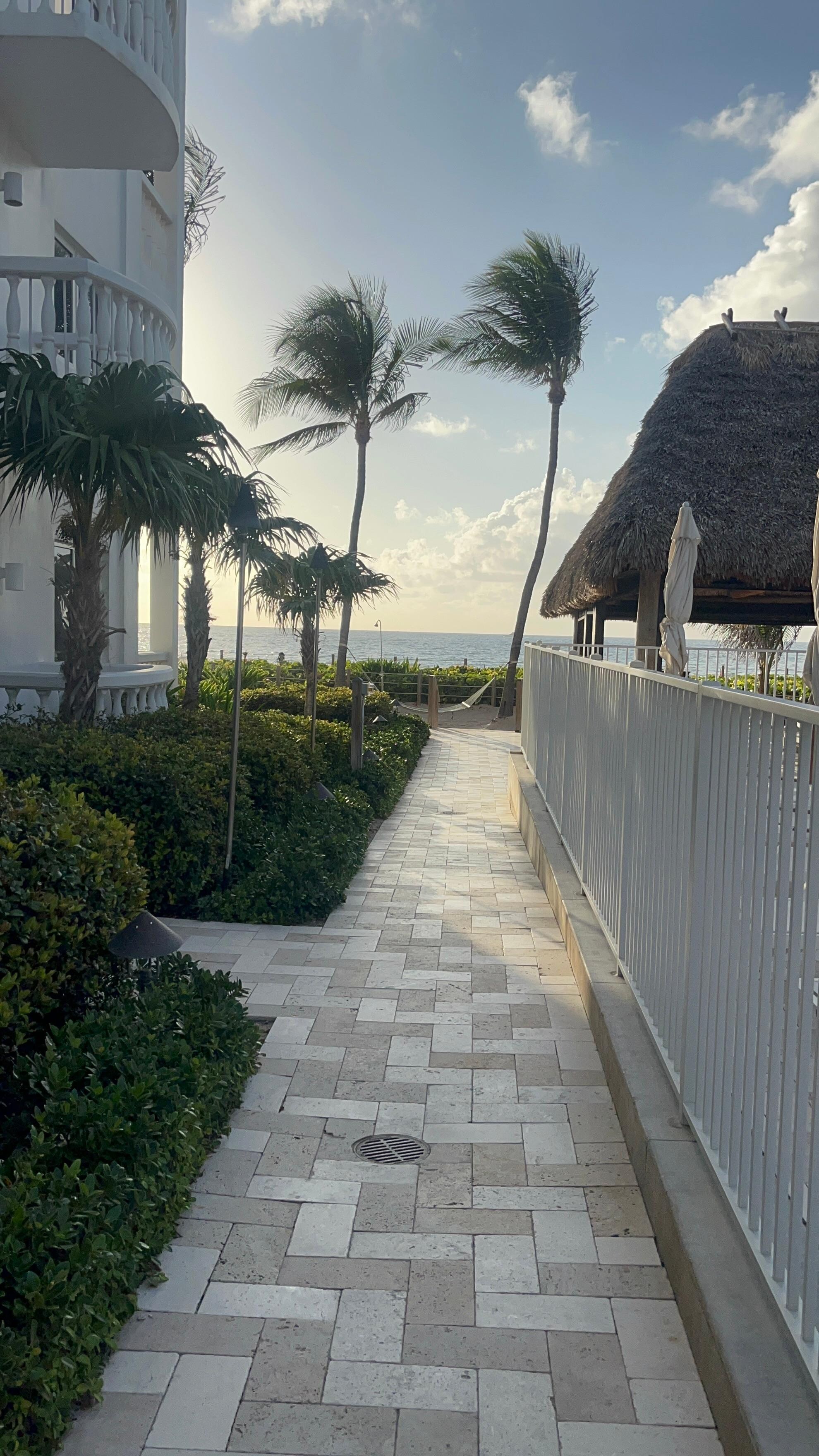 Morning stroll 