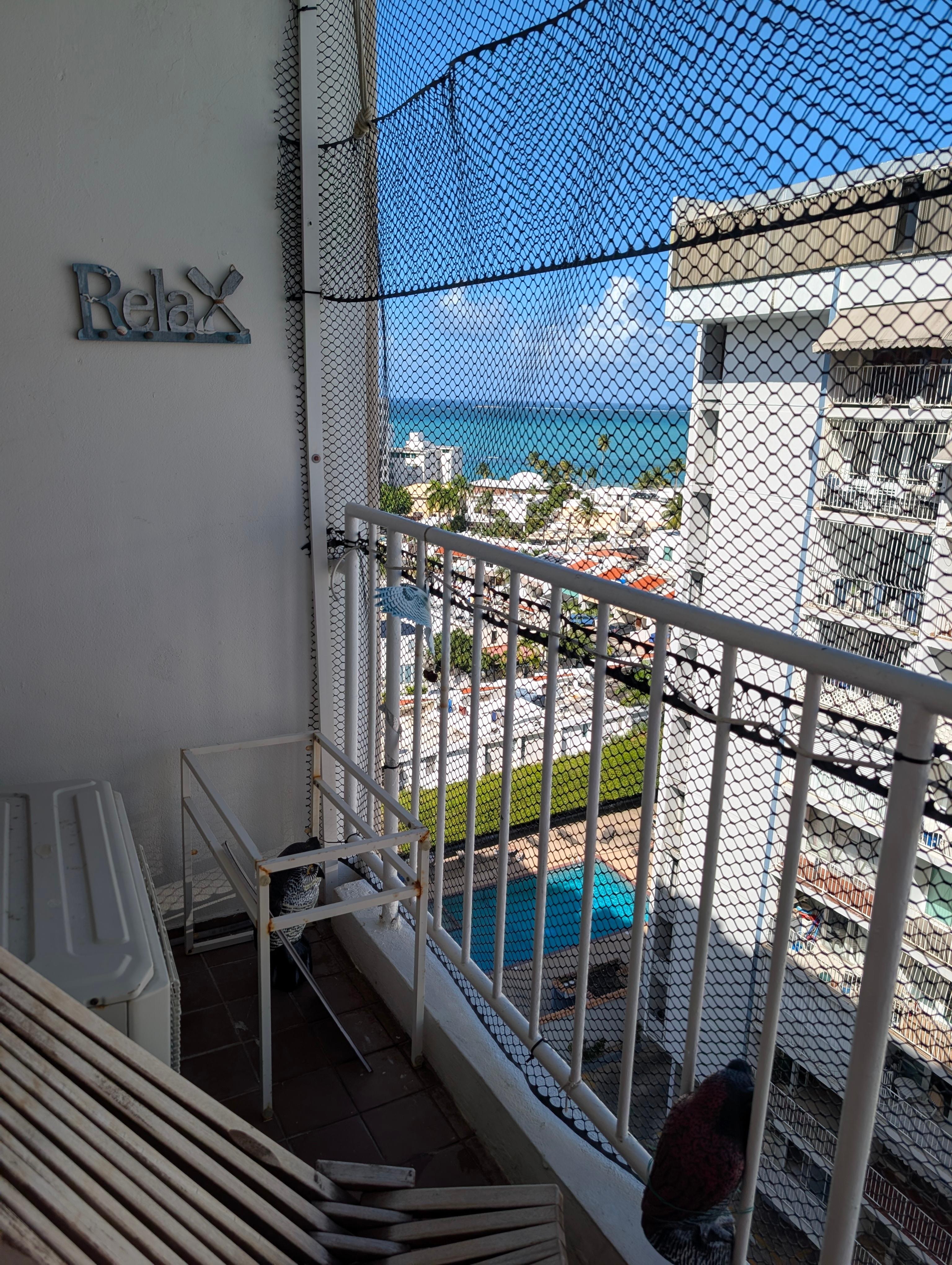 Black fencing limited the view.