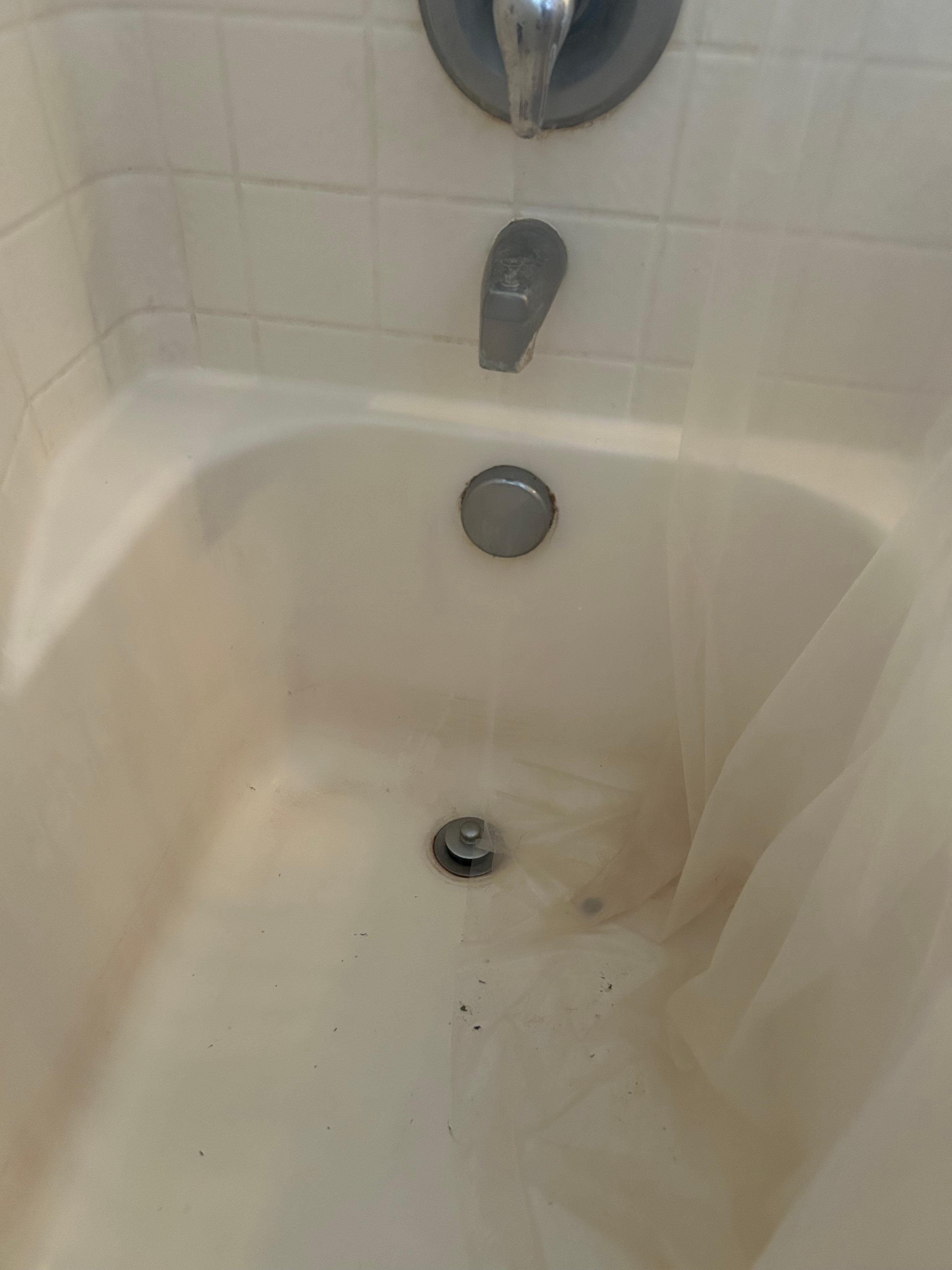 Guest shower