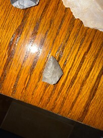 Found on one of the trails on property.