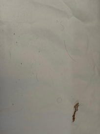 Sheets inside the pullout bed.