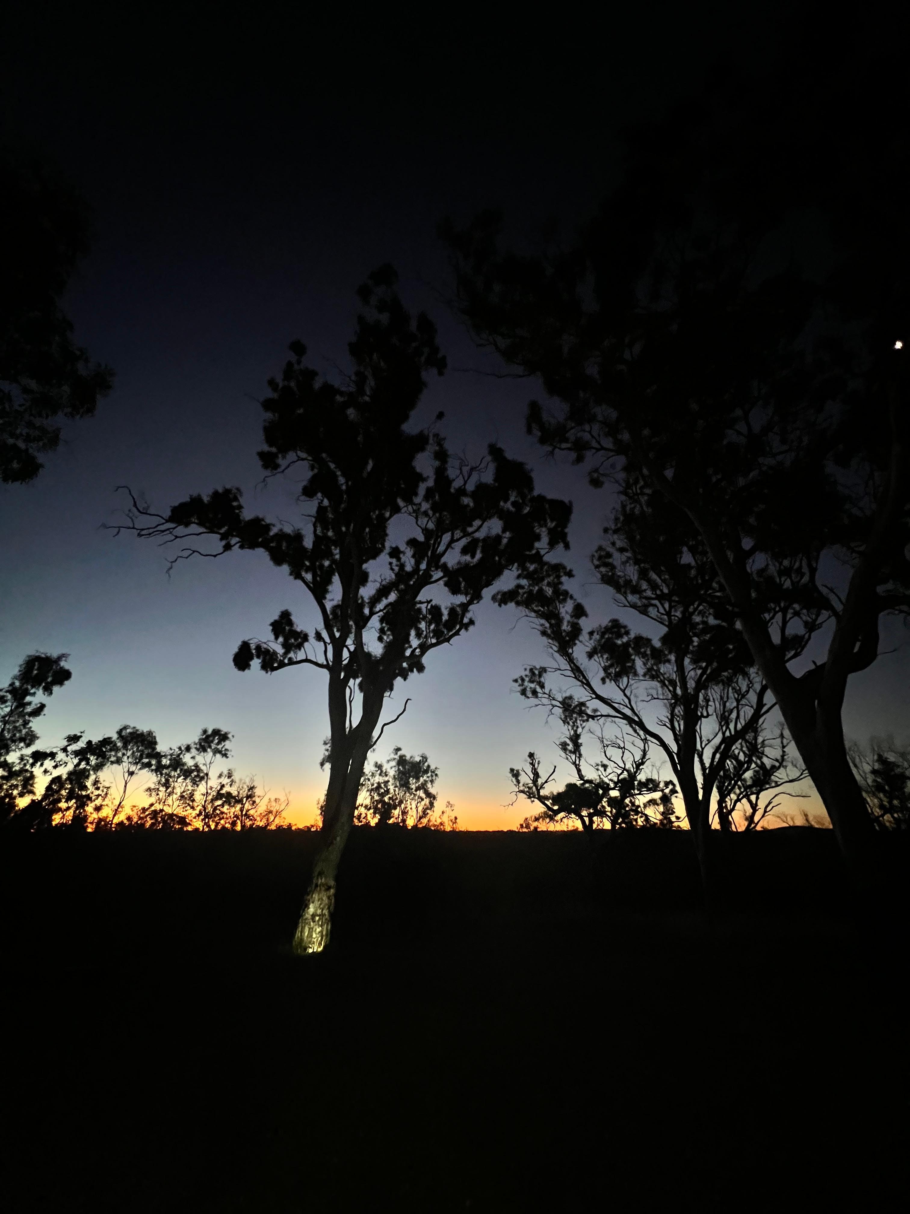 Sunset from the balcony