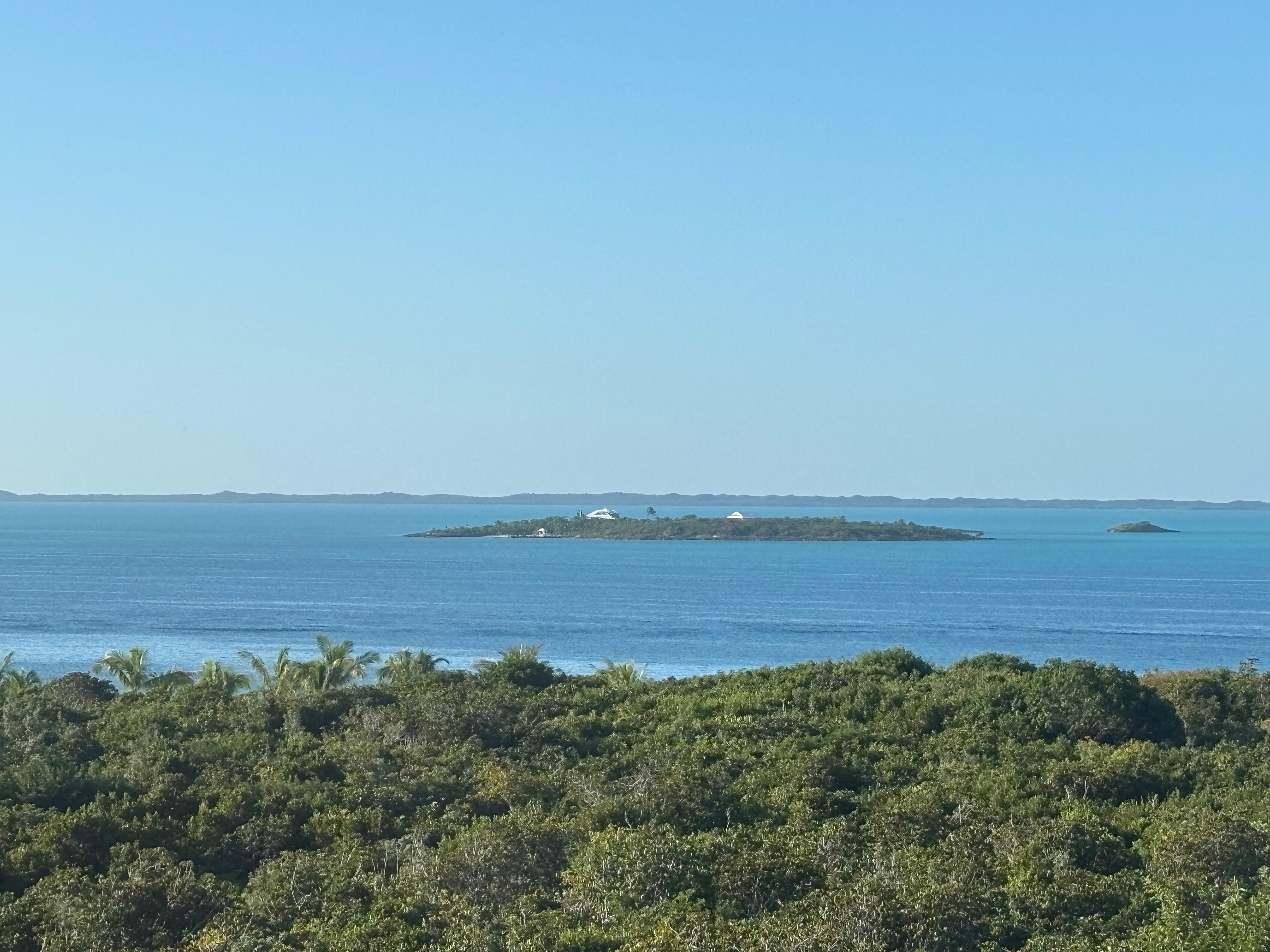 Views from the house