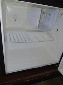 Black mold in fridge