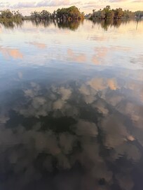 Morning from the dock.