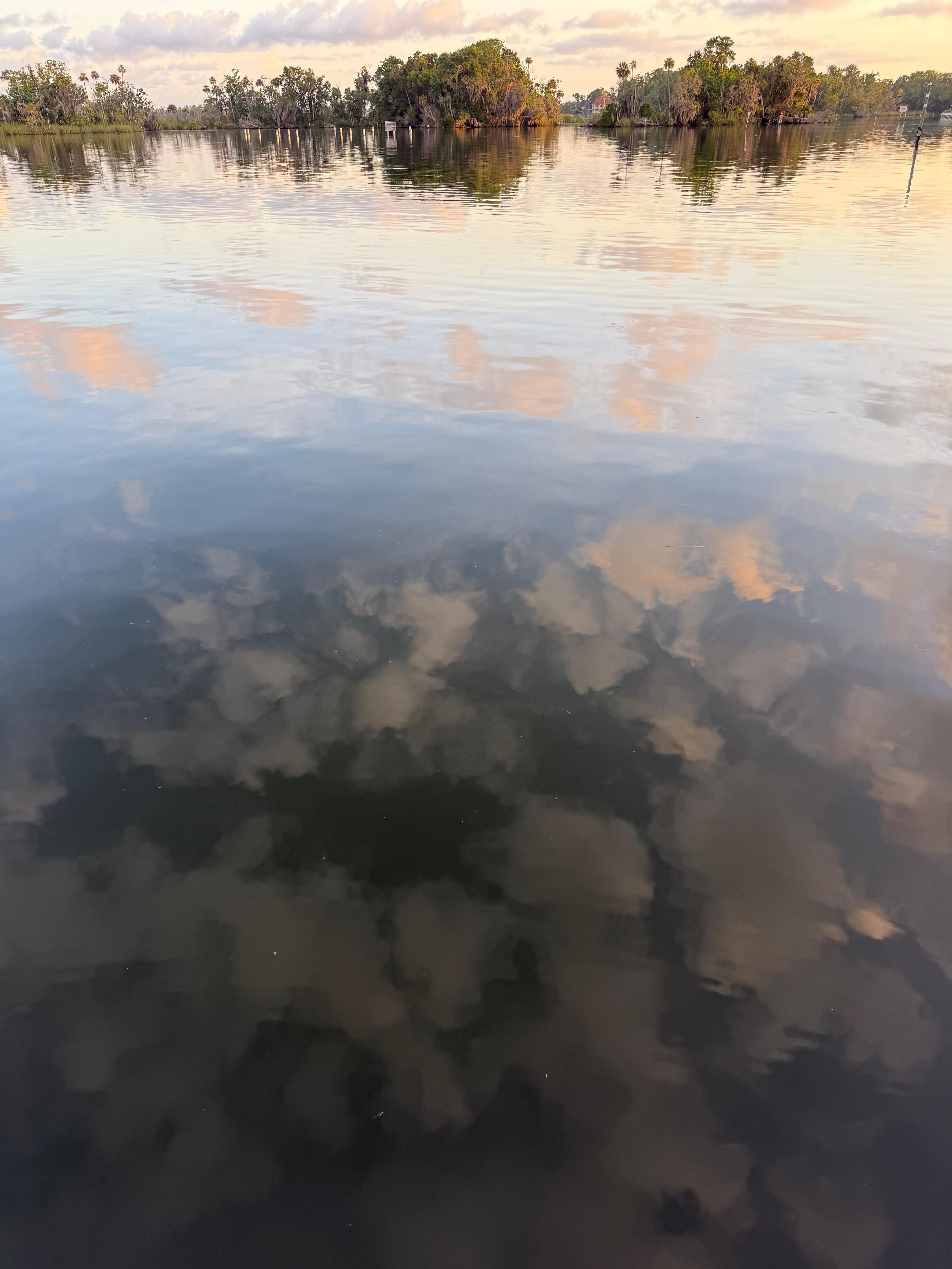 Morning from the dock.