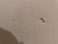 Holes in bedsheet!