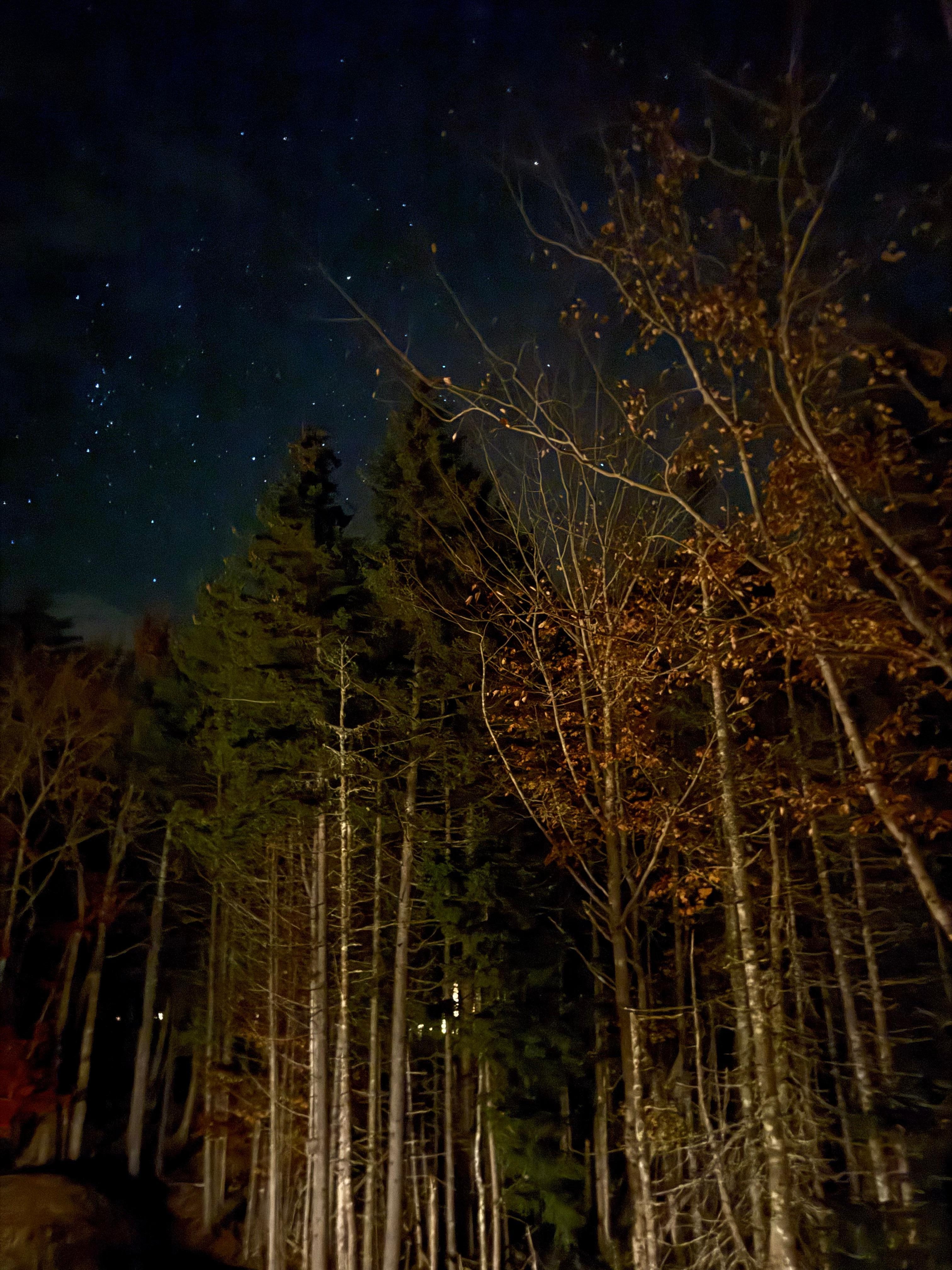 Stargazing from apt deck . Check out Seawall picnic area to stargaze.