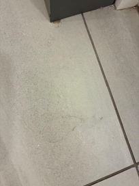 Hairs on bathroom floor