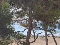 Blick vom Balkon