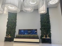 養著紅龍的魚缸