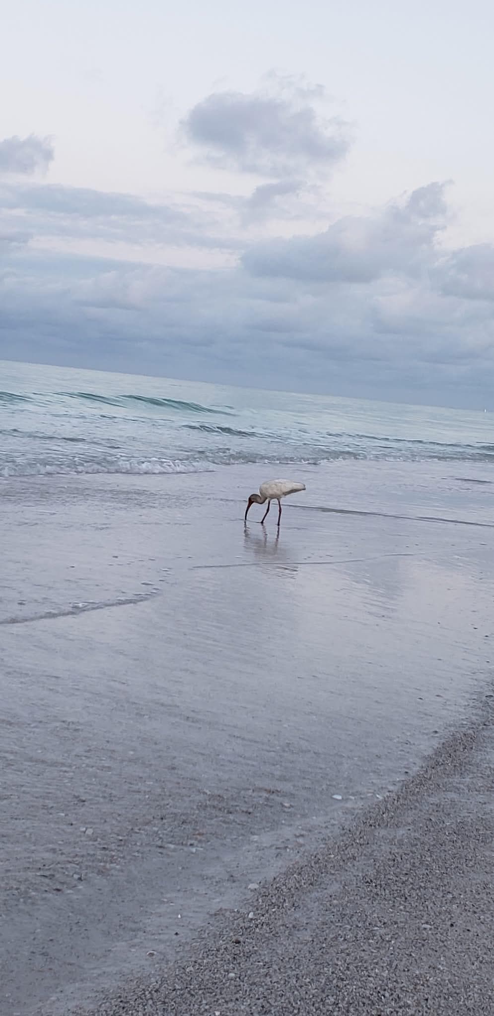 Morning walk on the beach
