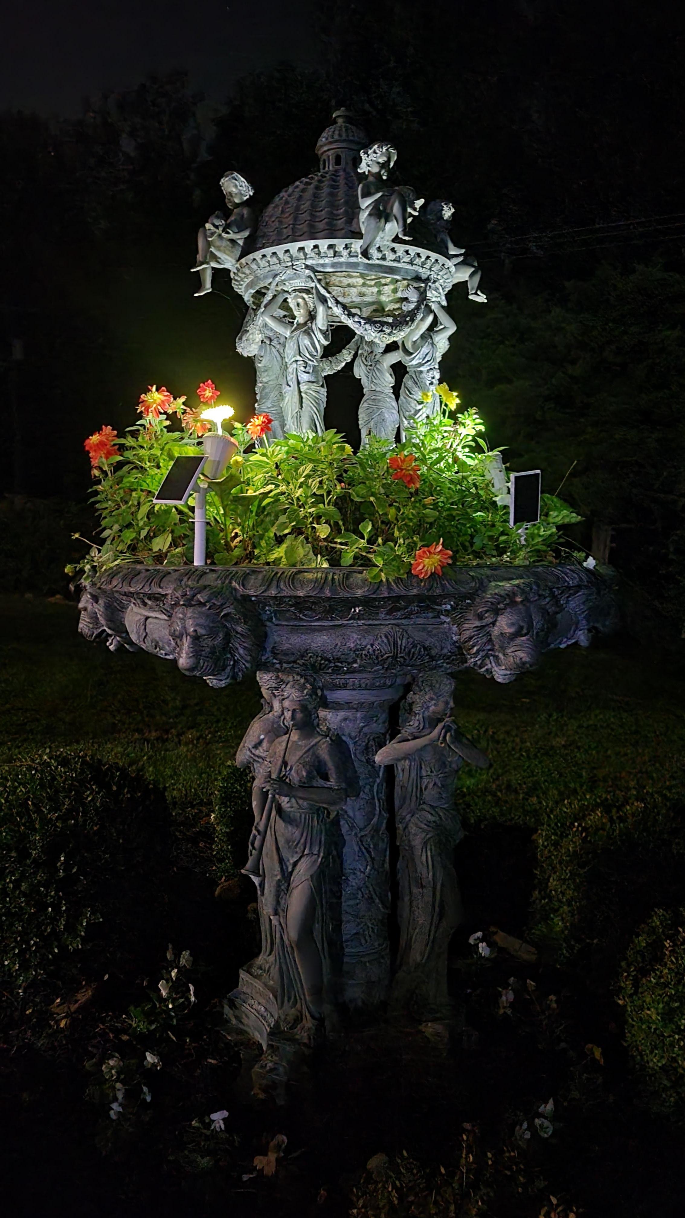 fountain lit up at night