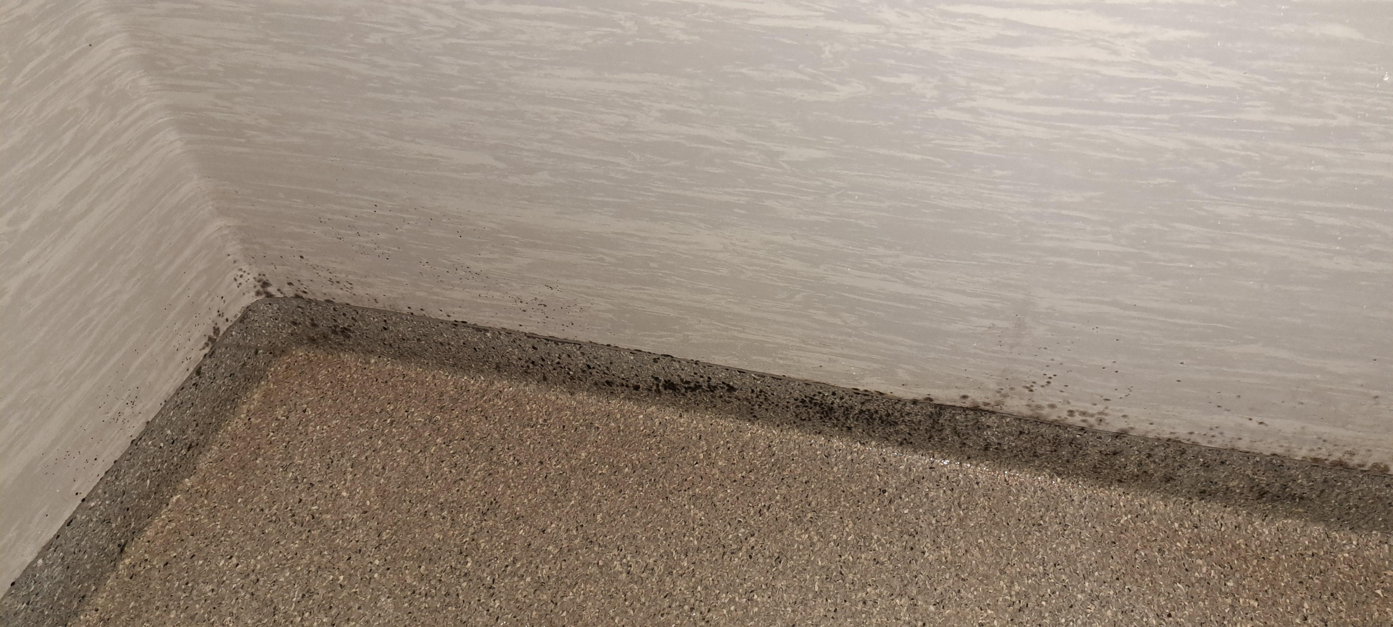 mould in corner of shower