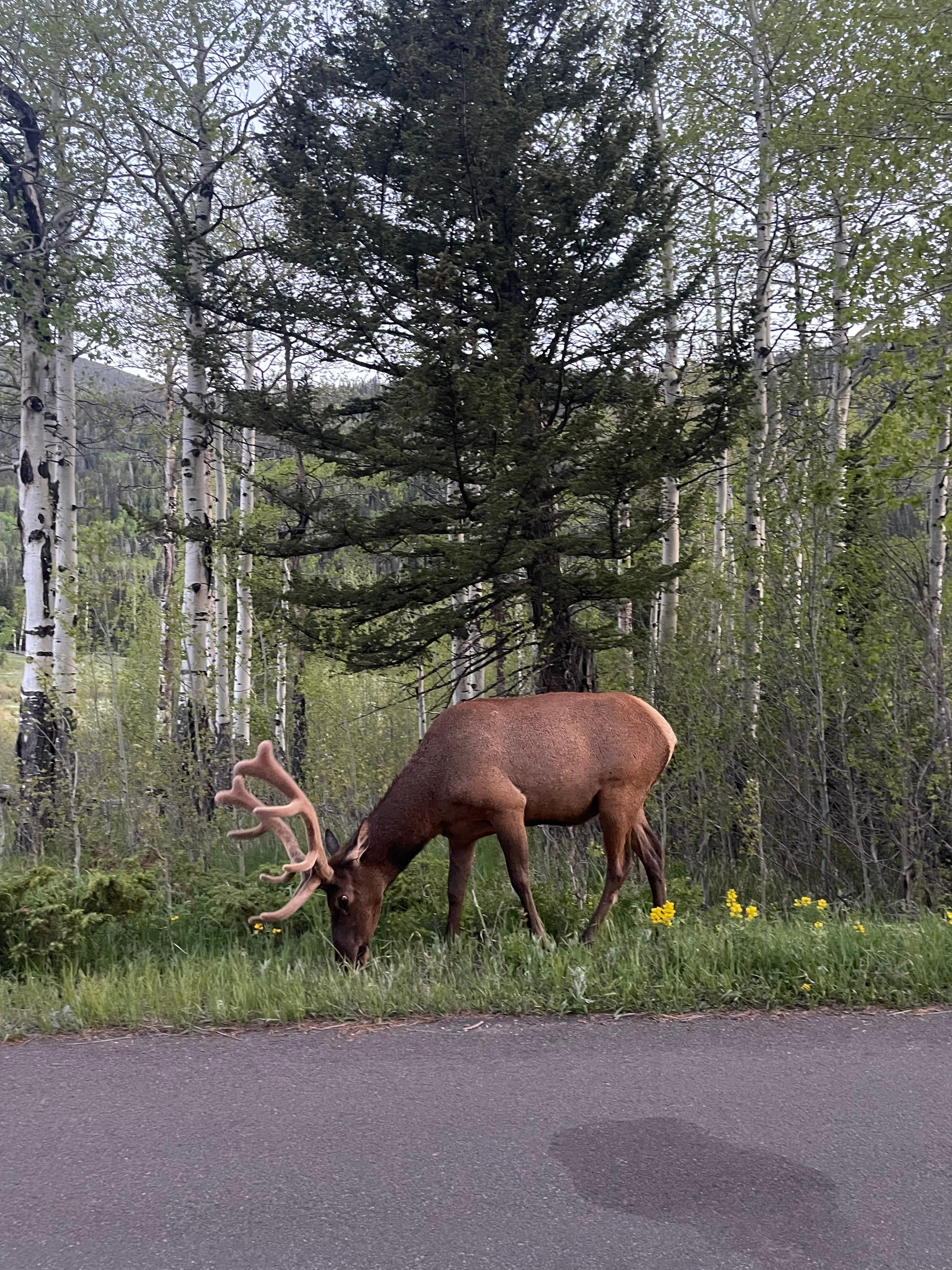 Rocky Mountain National Park