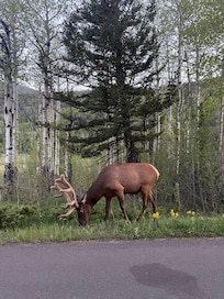 Rocky Mountain National Park