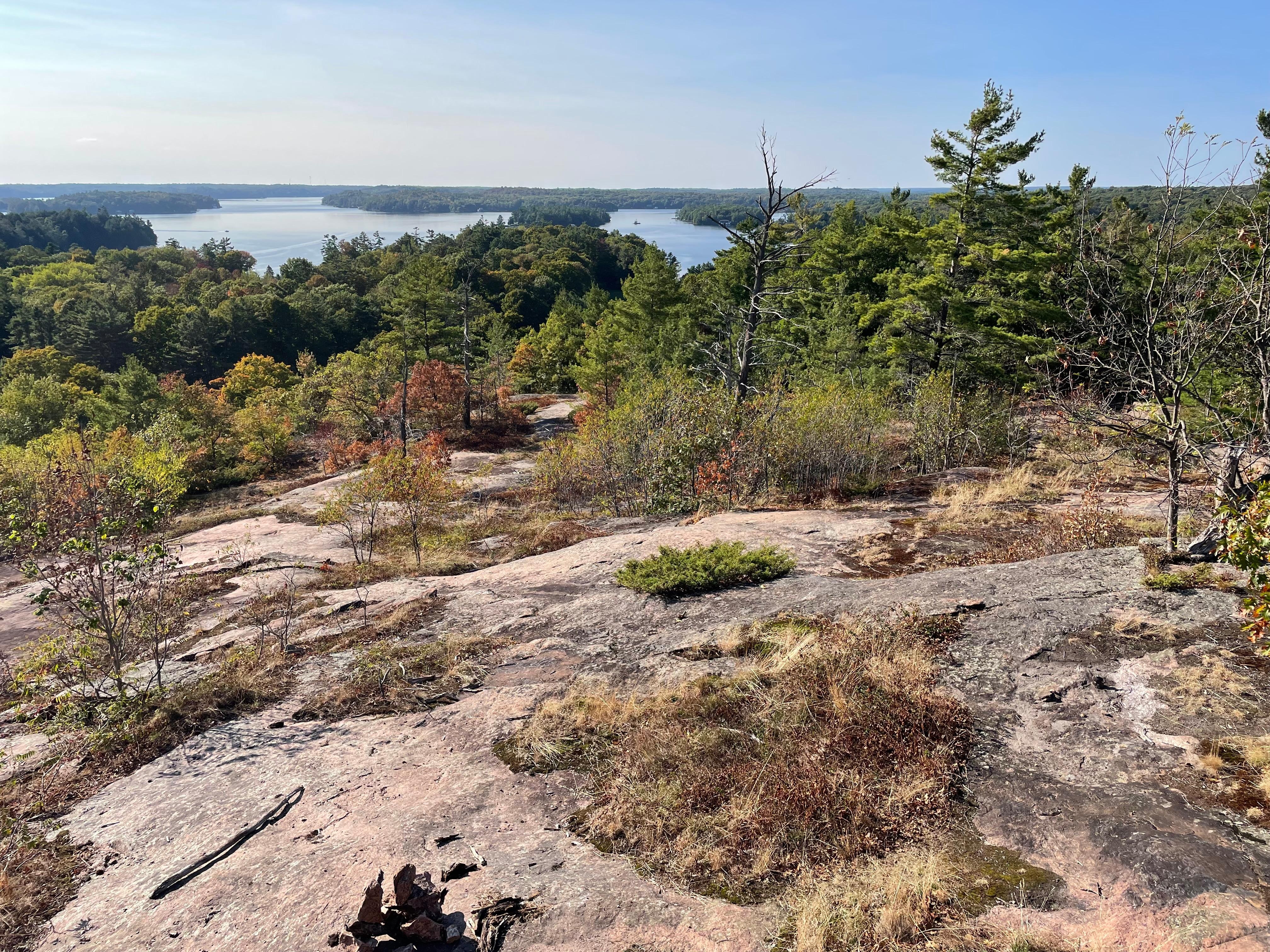 Huckleberry Hike a hit!!