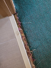 Carpet ripped up and shredded near bathroom door.