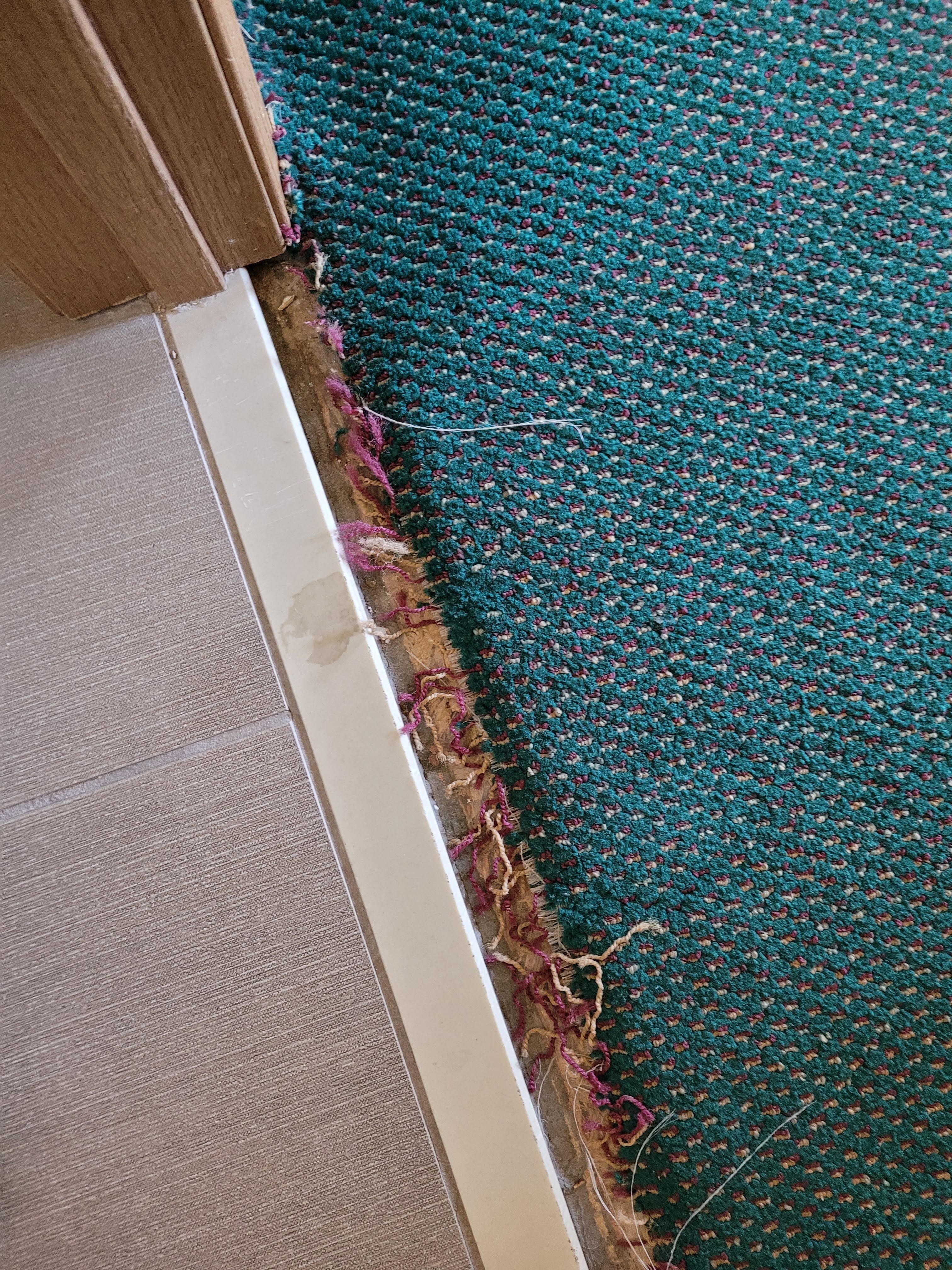 Carpet ripped up and shredded near bathroom door.