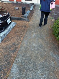 Pineneedles all over the sidewalks. All weekend we were there Friday to Sunday. Never seen anyone clean up outside.