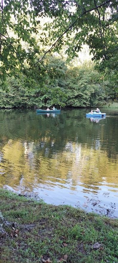 Peddle Boat & canoe getting good use!