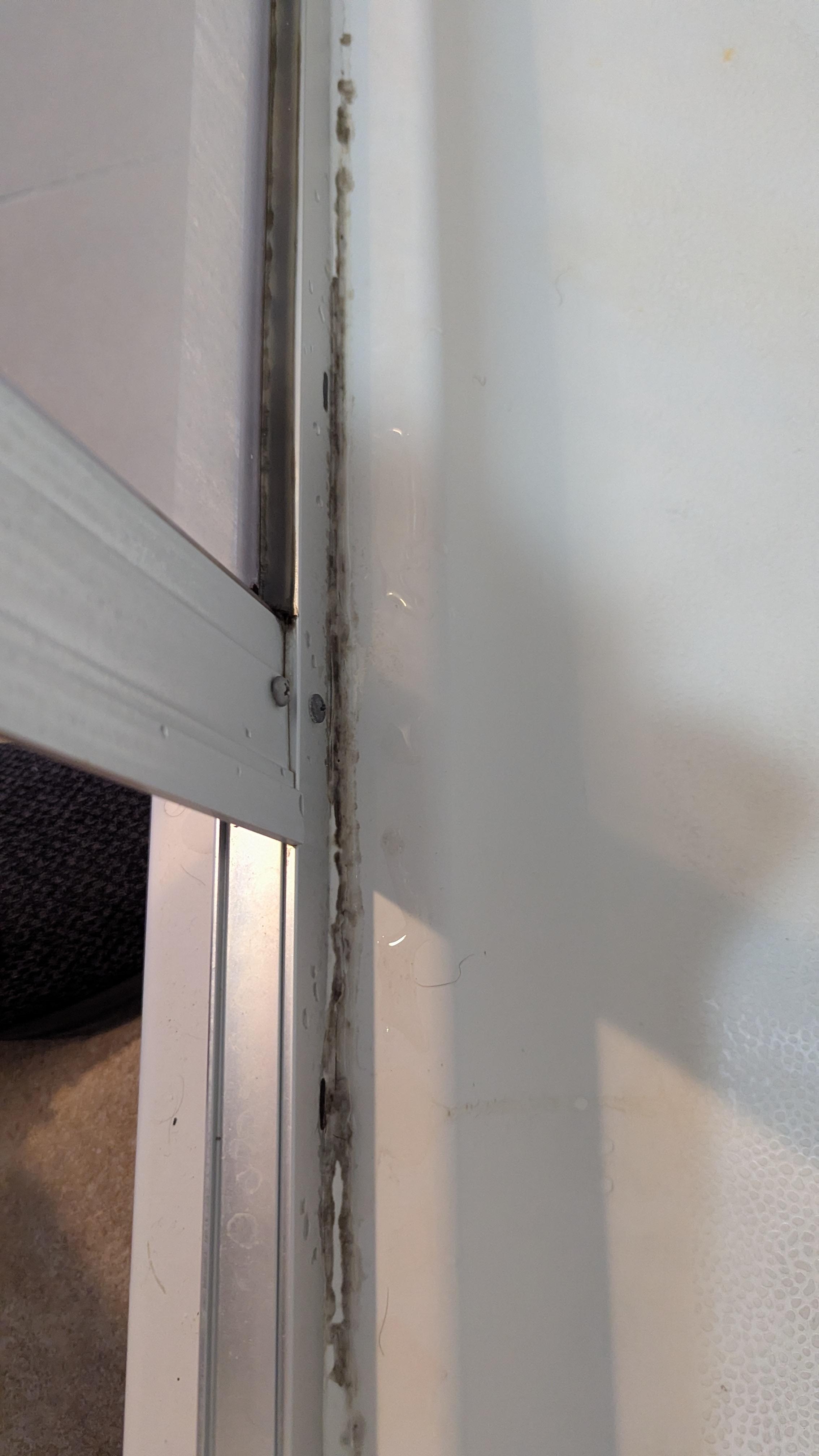 Mold in primary bathroom shower when we first arrived.  Clearly the cleaning people don't get in the shower to see this.