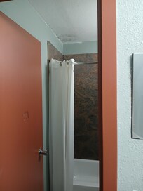 a (fist) Hole had been punched in the bathroom door, and there is visible black mold on bathroom ceiling.