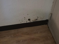 Mold