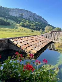 Vue depuis la porte de la chambre sur le bassin des poissons