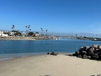 Sea lions along the harbor