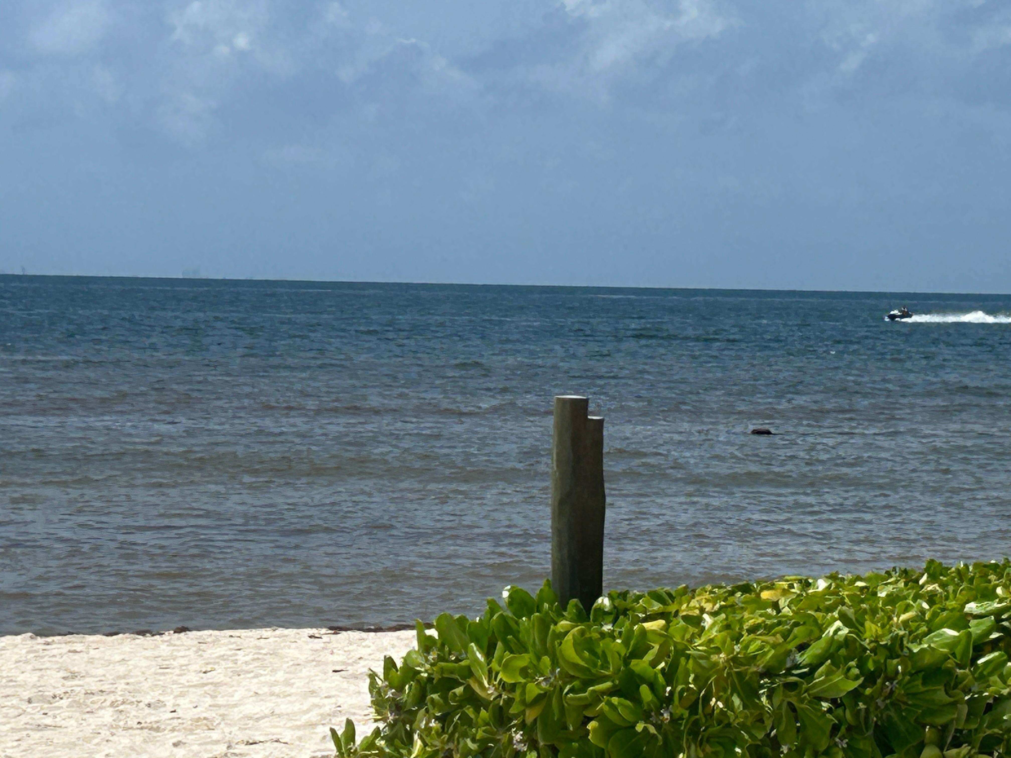 The the left of this was watersports area. chairs on beach facing hedge