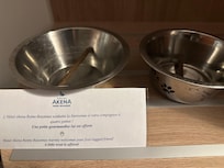 Midas and Freya appreciated their welcome gift!