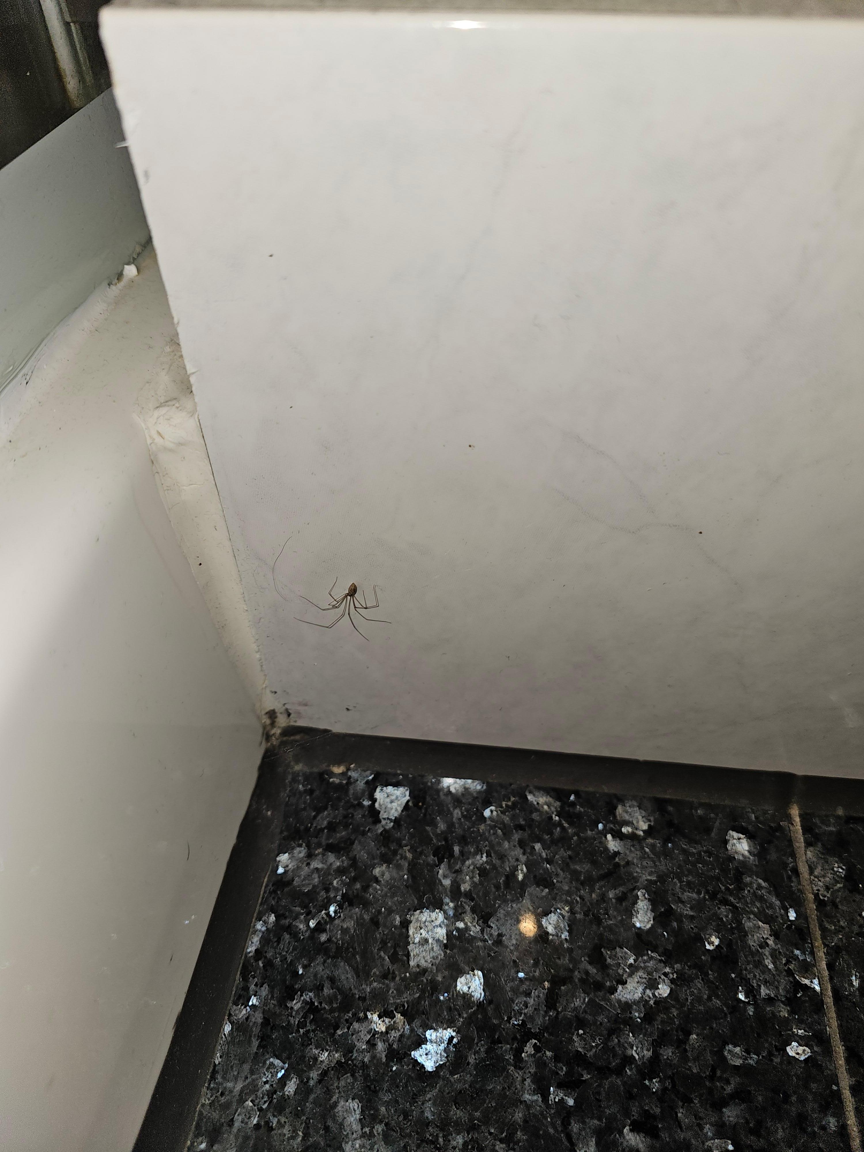 Die anderen habe ich garnicht mehr fotografiert 